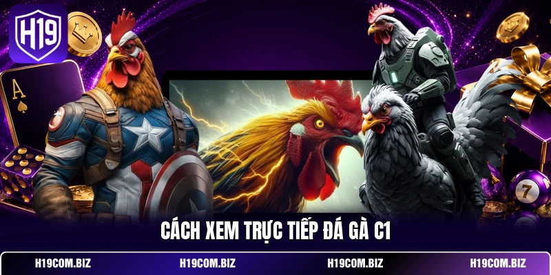 Cách xem trực tiếp đá gà C1